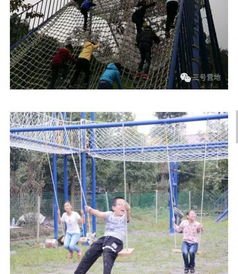 深耕體驗式教育 戶外拓展培訓與親子活動的專業引領者